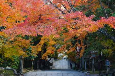 虚空蔵法輪寺　三色の紅葉