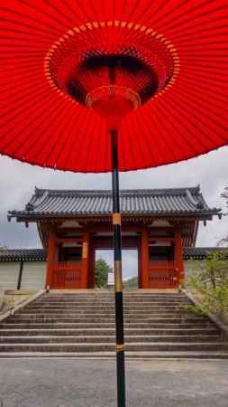 仁和寺　中門