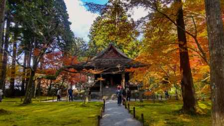 大原三千院の紅葉②