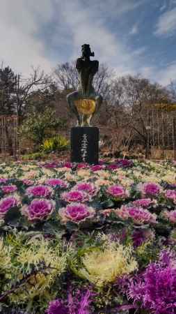 京都府立植物園