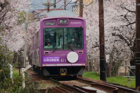 嵐電さくらのトンネル