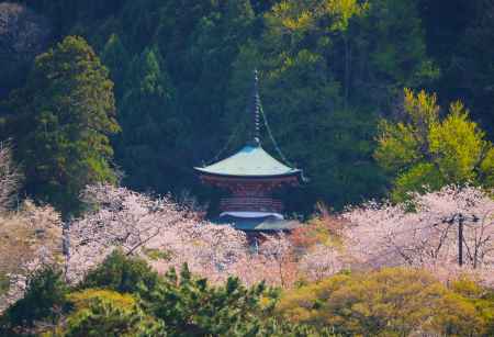虚空蔵法輪寺