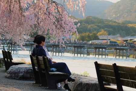 嵐山公園渡月橋と桜