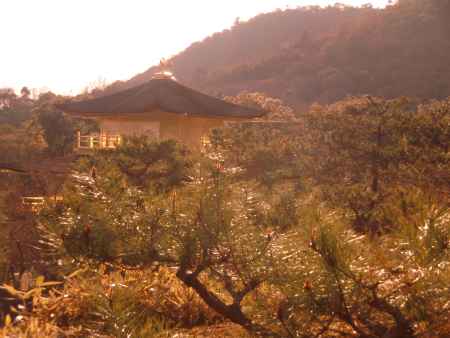 夕方の金閣寺