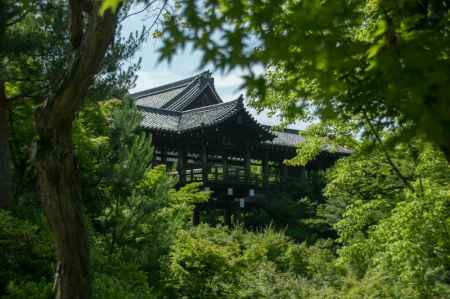 東福寺 通天橋と青葉の季節