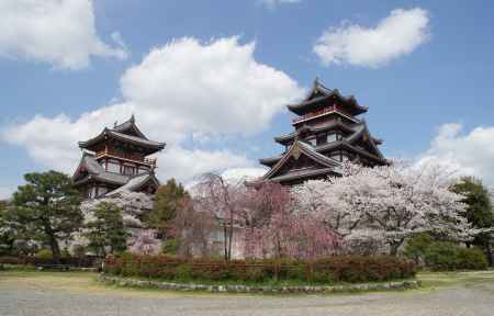 春爛漫の伏見桃山城