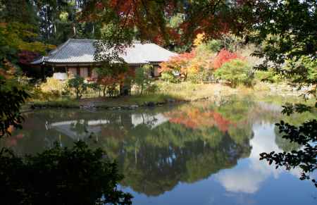 池に映り込んだ九体阿弥陀堂と紅葉