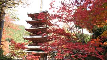 海住山寺の紅葉