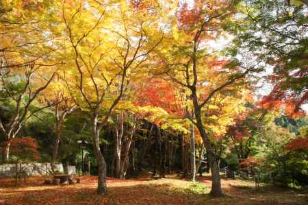 笠置もみじ公園ー２