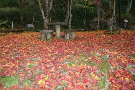 笠置もみじ公園ー４