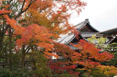 金戒光明寺（黒谷さん）の紅葉ー５