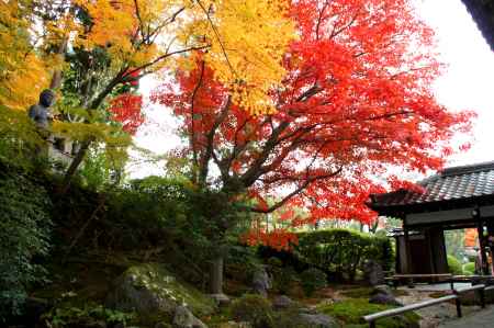 金戒光明寺（黒谷さん）の紅葉ー１２