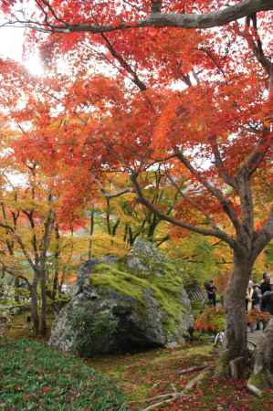 宝厳院－３