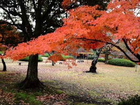 伏見桃山城－5