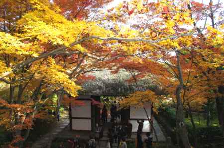 常寂光寺－５