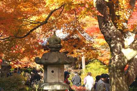 常寂光寺－８