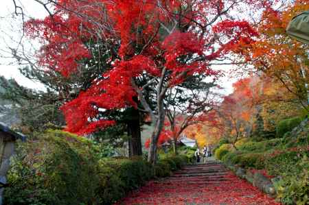 善峯寺－５