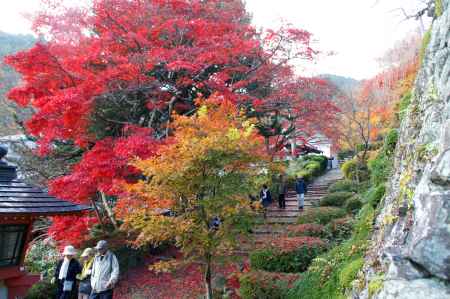 善峯寺－６