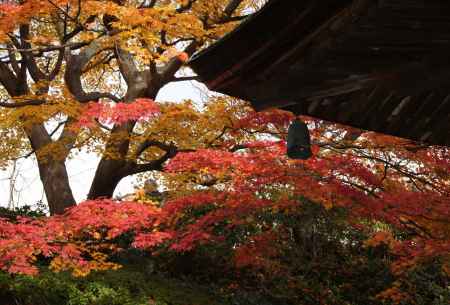 善峯寺－９