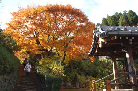 善峯寺－１１