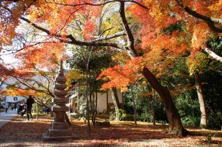 光明寺－４