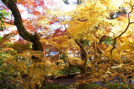 光明寺－６