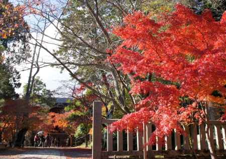 光明寺－７