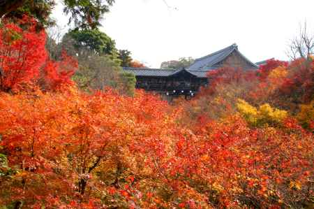 東福寺ー４