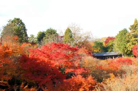 東福寺－９