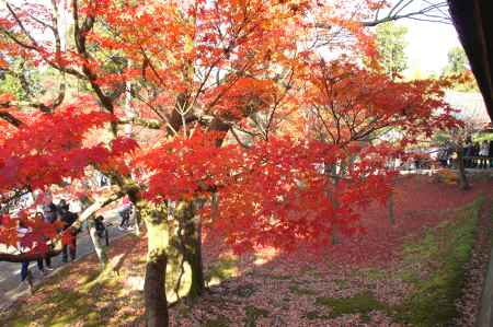 東福寺ー１１