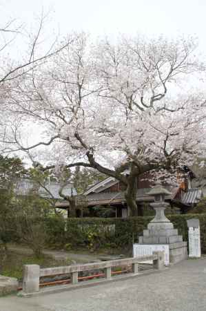 大豊神社ー２