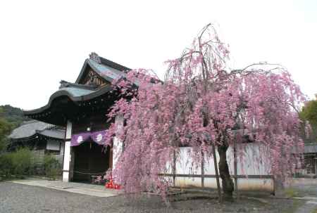 勧修寺－２