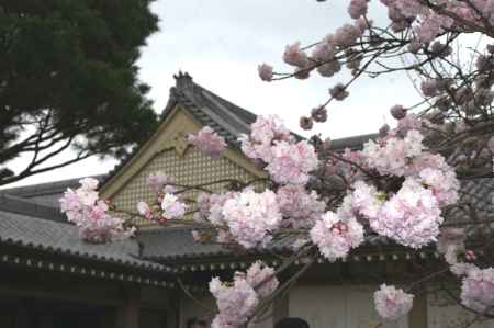 醍醐寺－１２