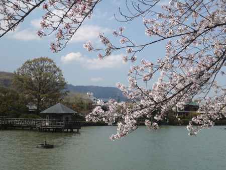 長岡天神－２