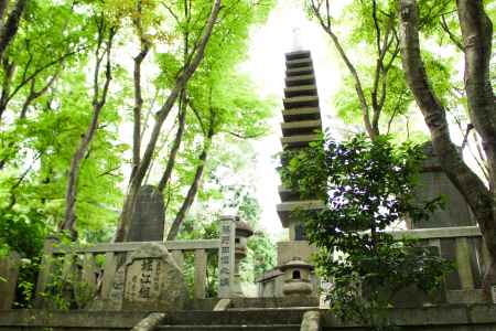 柳谷観音楊谷寺 青もみじ 1