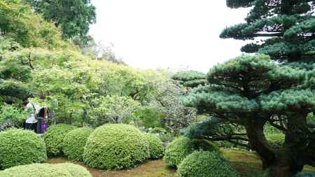 鈴虫寺　整えられた庭