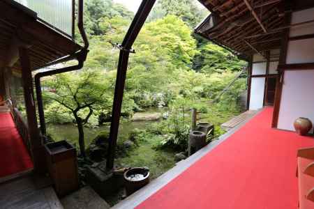 実相院 池水回遊式庭園①