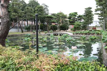 相国寺 放生池 天界橋