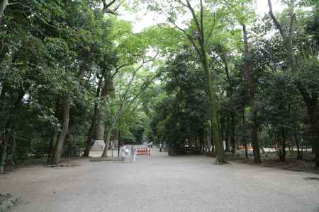 下鴨神社 糺の森①