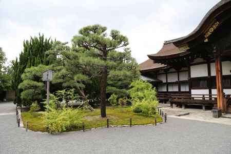 西本願寺 書院②