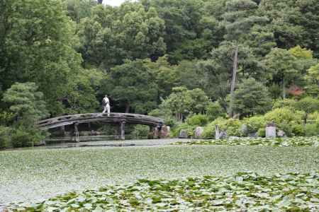 涉成園 印月池 侵雪橋