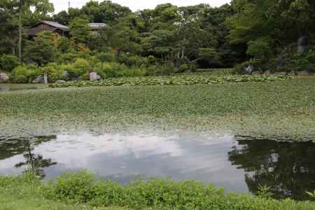 涉成園 回遊式庭園 印月池