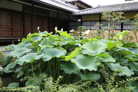 涉成園 園林堂(持仏堂) 盧庵(茶室)