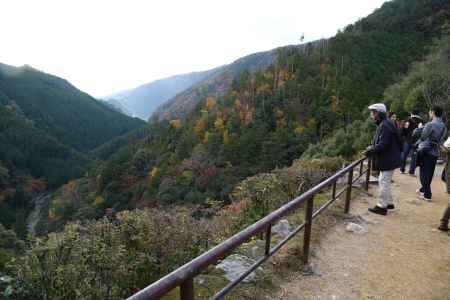 神護寺 錦雲渓