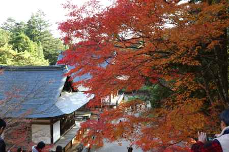 神護寺 金堂より望む伽藍