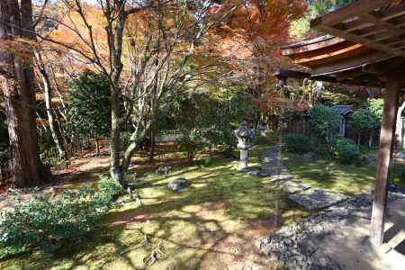 高山寺 石水院庭園②