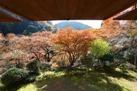 高山寺 石水院庭園①