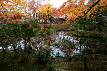 圓光寺 十牛之庭