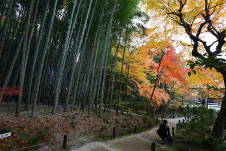 圓光寺 十牛之庭