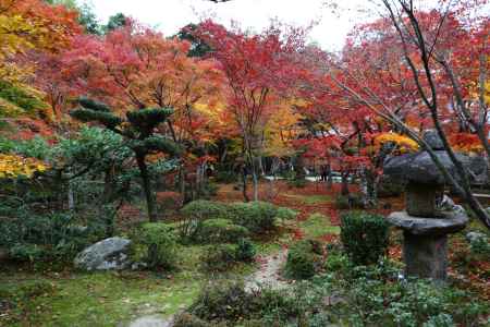 圓光寺 十牛之庭